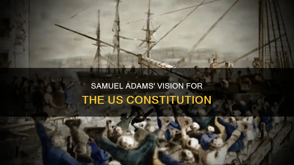 what did samuel adams want to put in the constitution