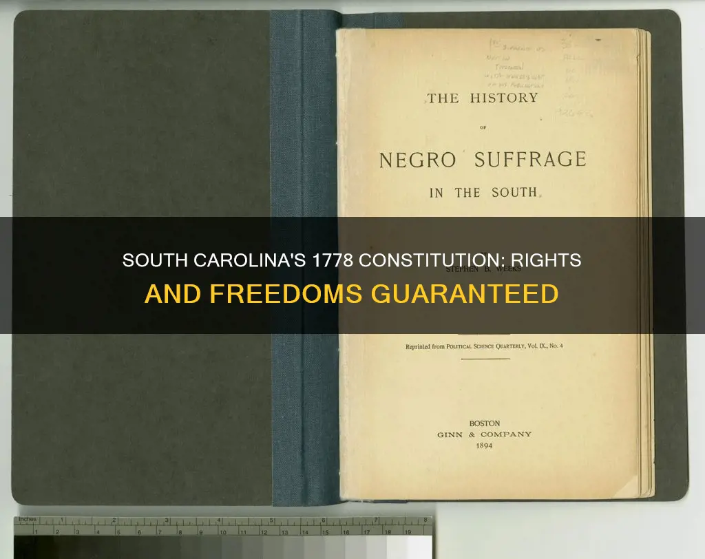 what did south carolina