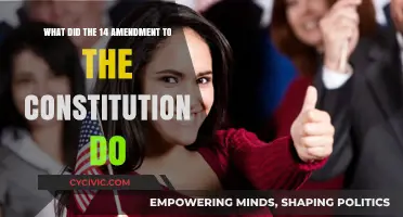 Amendment Impact: Understanding the 14th's Constitutional Change