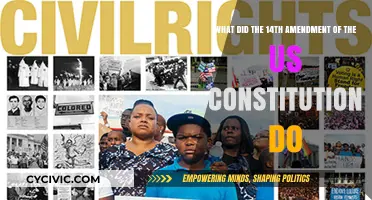 Amendment Impact: Understanding the 14th's Power