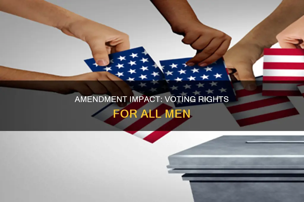 what did the 15th amendment to the us constitution accomplish