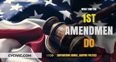 Amendments: Understanding the Freedom of Speech and Beyond