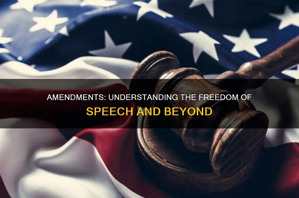 what did the 1st amendment do