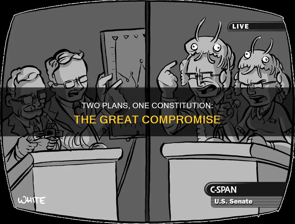 what did the 2 proposed plans for the constitution