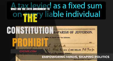 Amendment 24: Outlawing Poll Taxes and Protecting Voting Rights