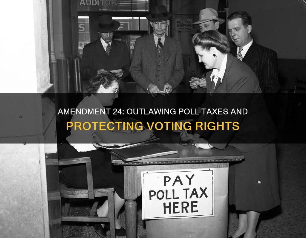 what did the 24th amendment to the constitution prohibit