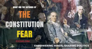 Fears that Shaped the Constitution