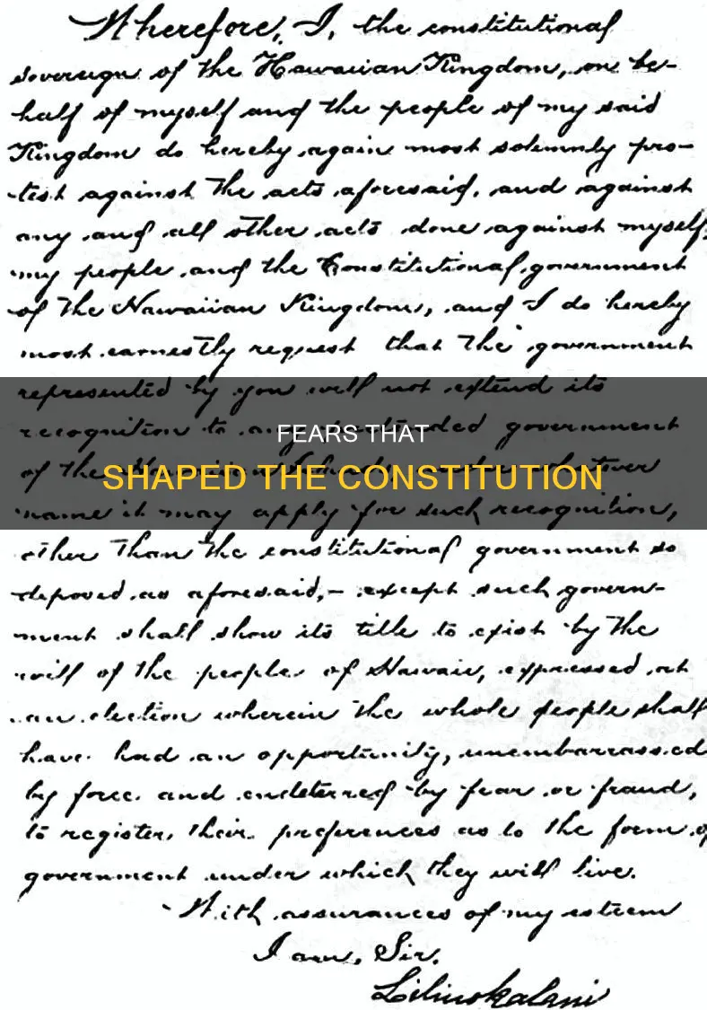 what did the authors of the constitution fear
