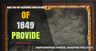 The 1849 California Constitution: Rights and Representation