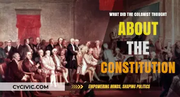 Understanding Colonists' Views on the Constitution