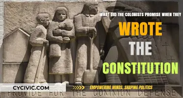 The Colonists' Promise: Freedom and Democracy for All