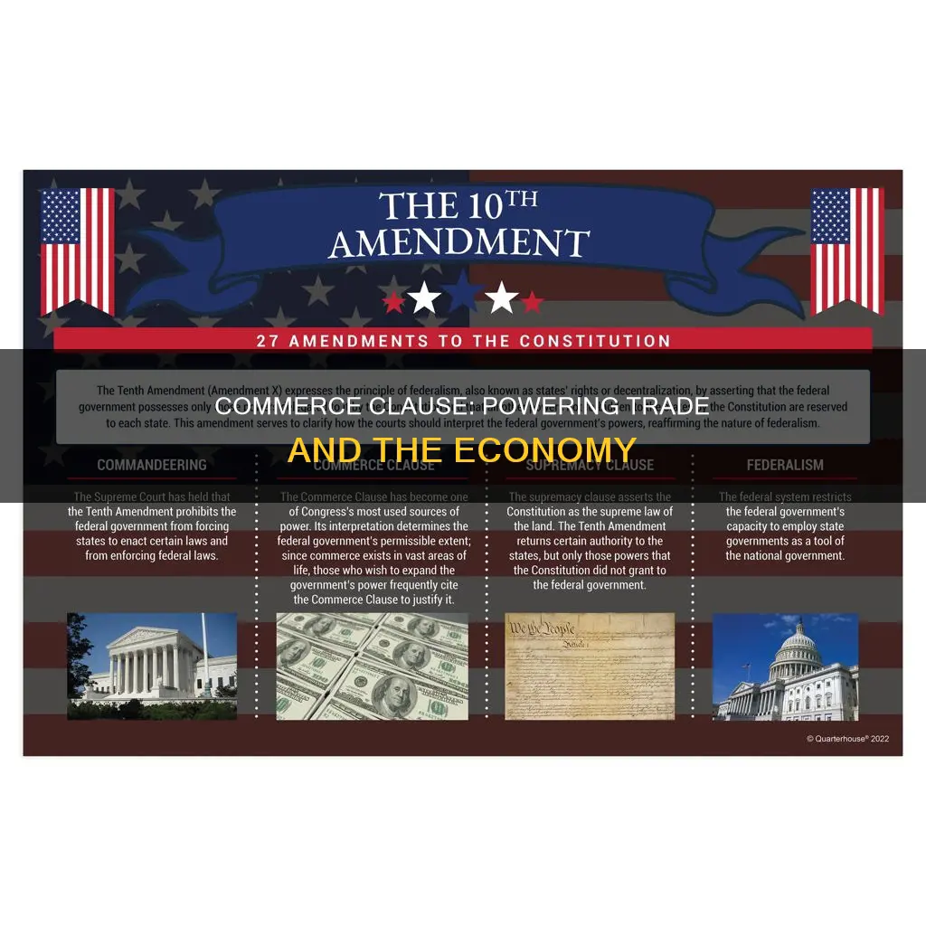 what did the commerce clause of the constitution do