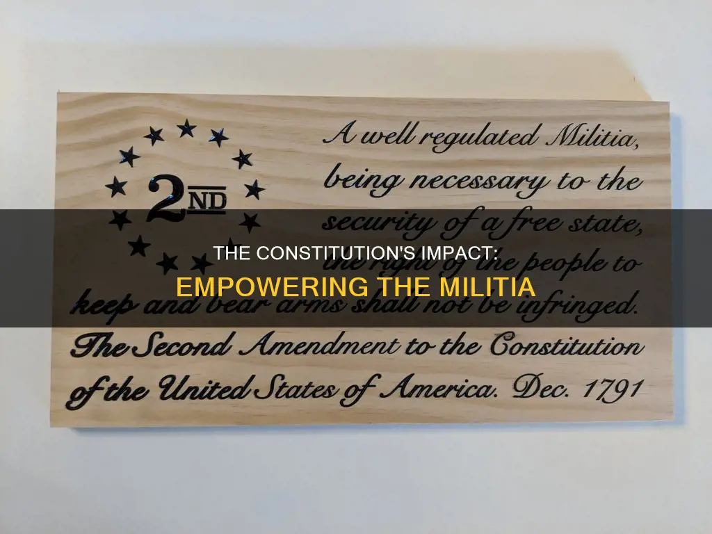 what did the constitution do for the militia