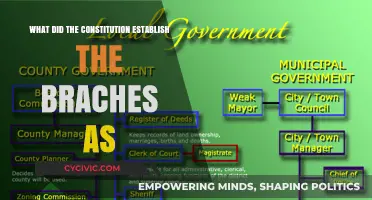 The Constitution's Legacy: Three Branches of Government