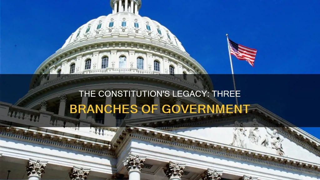what did the constitution establish the braches as