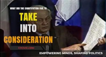 The Constitution: Unforeseen Issues and Injustices