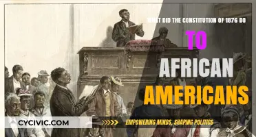 African Americans and the 1876 Constitution: A Dark Legacy