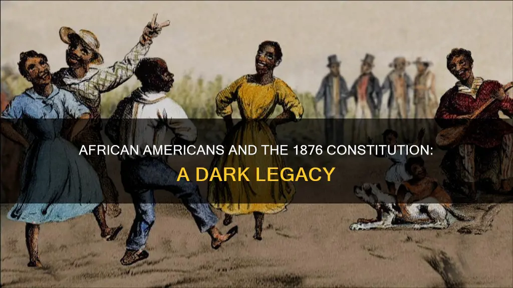 what did the constitution of 1876 do to african americans