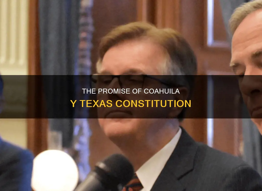 what did the constitution of coahuila y texas promise