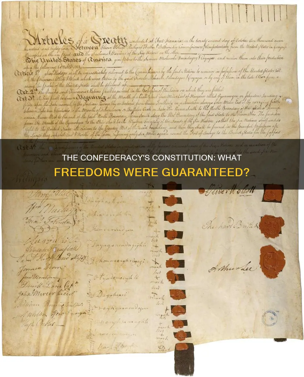 what did the constitution of the confederacy guarantee
