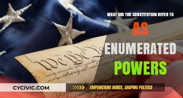 Enumerated Powers: Constitution's Explicitly Defined Abilities