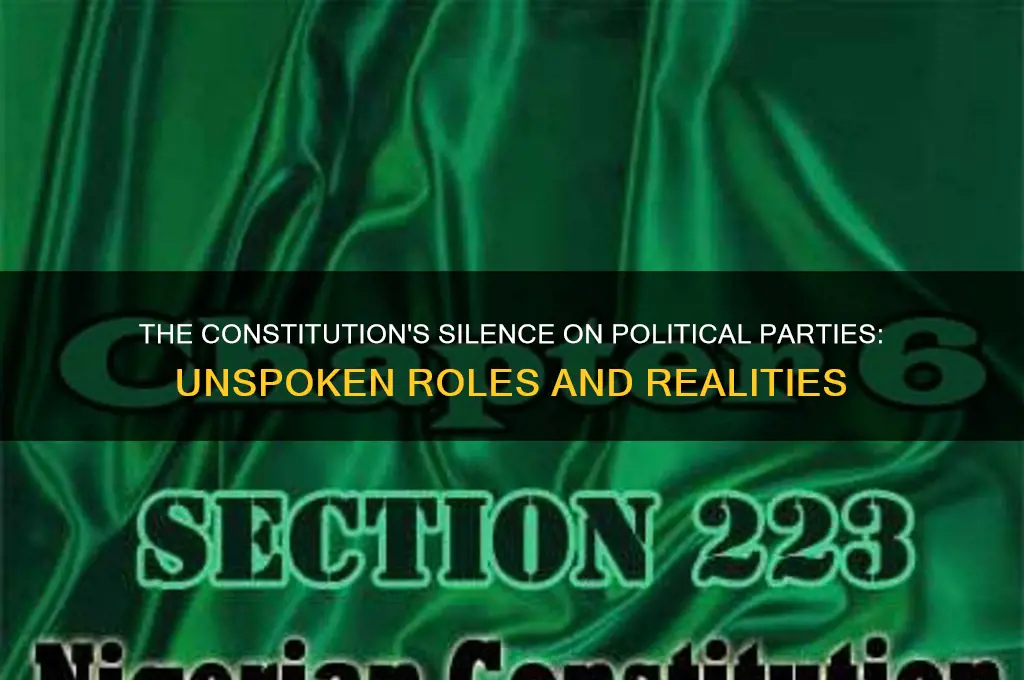 what did the constitution say about political parties