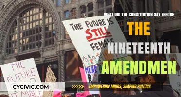 Constitution Before the Nineteenth Amendment: The Original Text