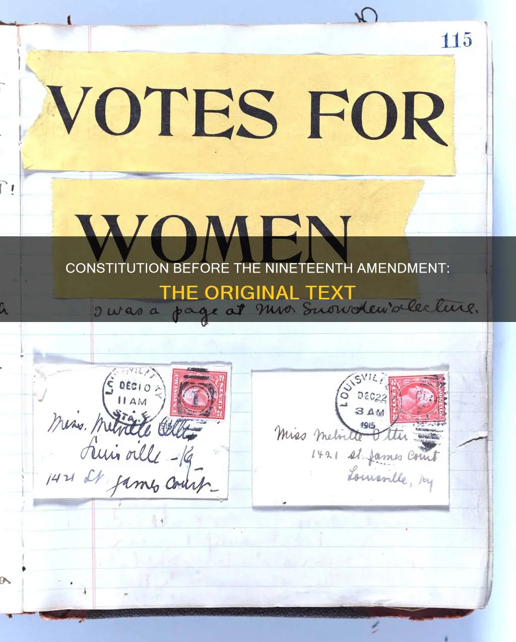 what did the constitution say before the nineteenth amendment