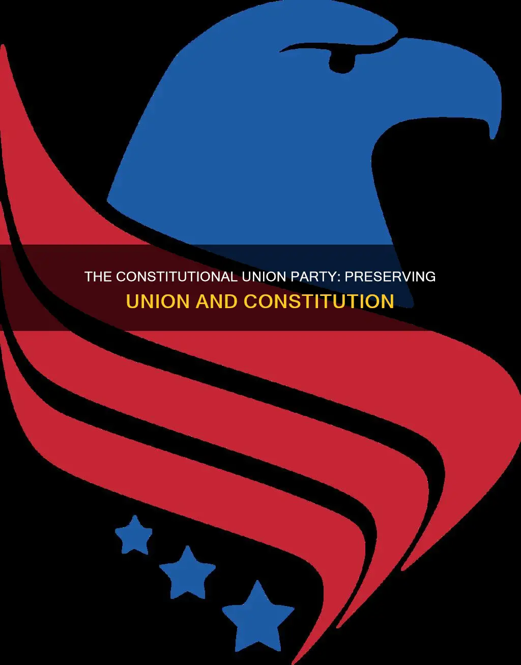 what did the constitutional union party believe in