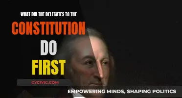 Constitution Delegates: Their First Steps and Challenges