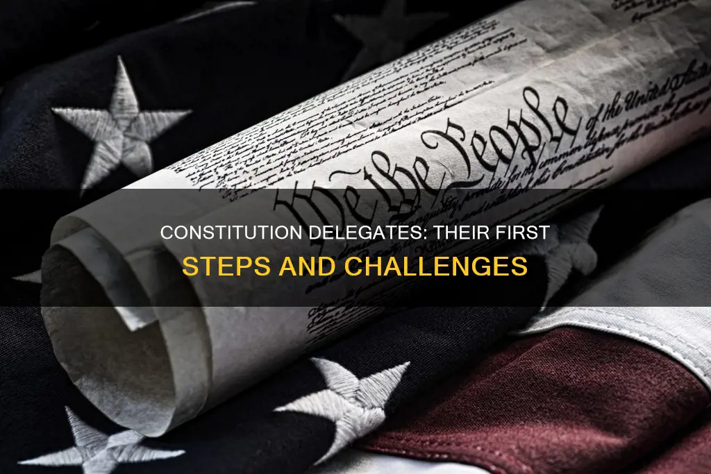 what did the delegates to the constitution do first