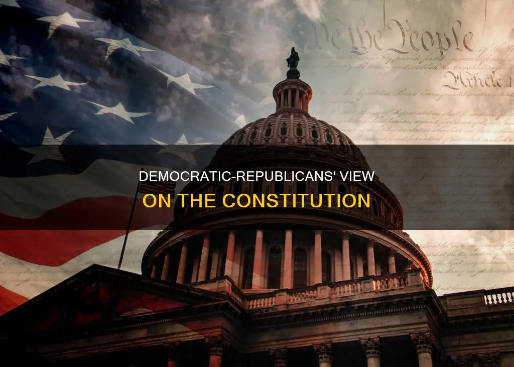 what did the democratic republicans think about the constitution