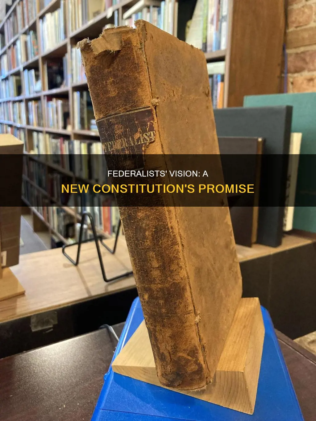 what did the federalist think about creating a new constitution