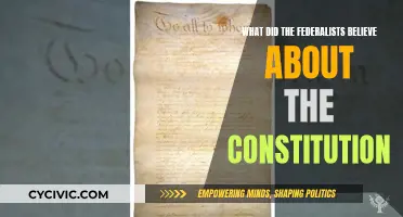 Federalists' Constitution Beliefs: Power, Unity, and the Republic