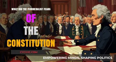 Founders' Fears: The Constitution's Federalist Concerns