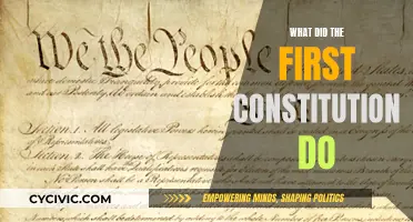 The First Constitution: Setting the Foundation for Governance