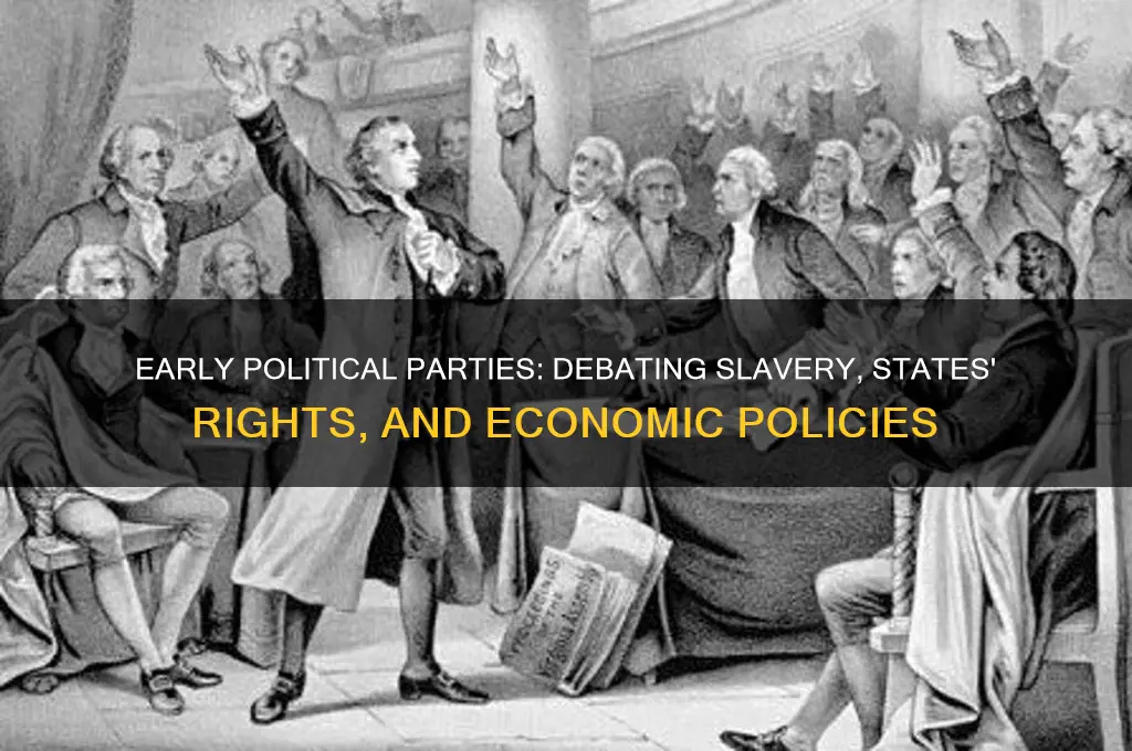 what did the first political parties debate on