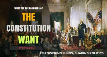 Founders' Vision: Freedom, Rights, and Democracy