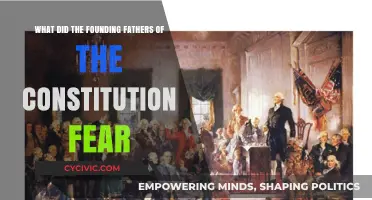 Fears of the Framers: Democracy's Dangers