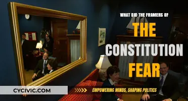 Fears that Shaped the Constitution