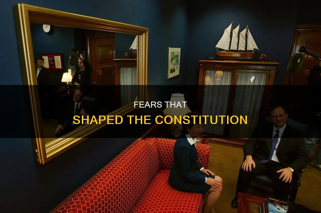 what did the framers of the constitution fear