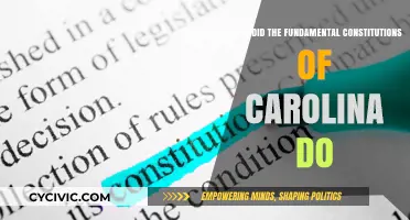 Carolina's Constitution: Laying the Foundation for a Colony