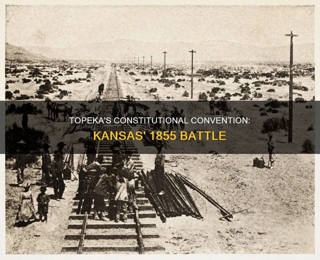 what did the kansas topeka constitutional 1855 band