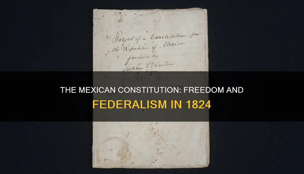what did the mexican constitution of 1824 allow