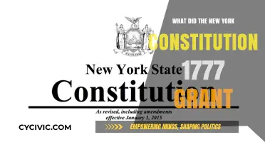 The New York Constitution: Rights and Representation