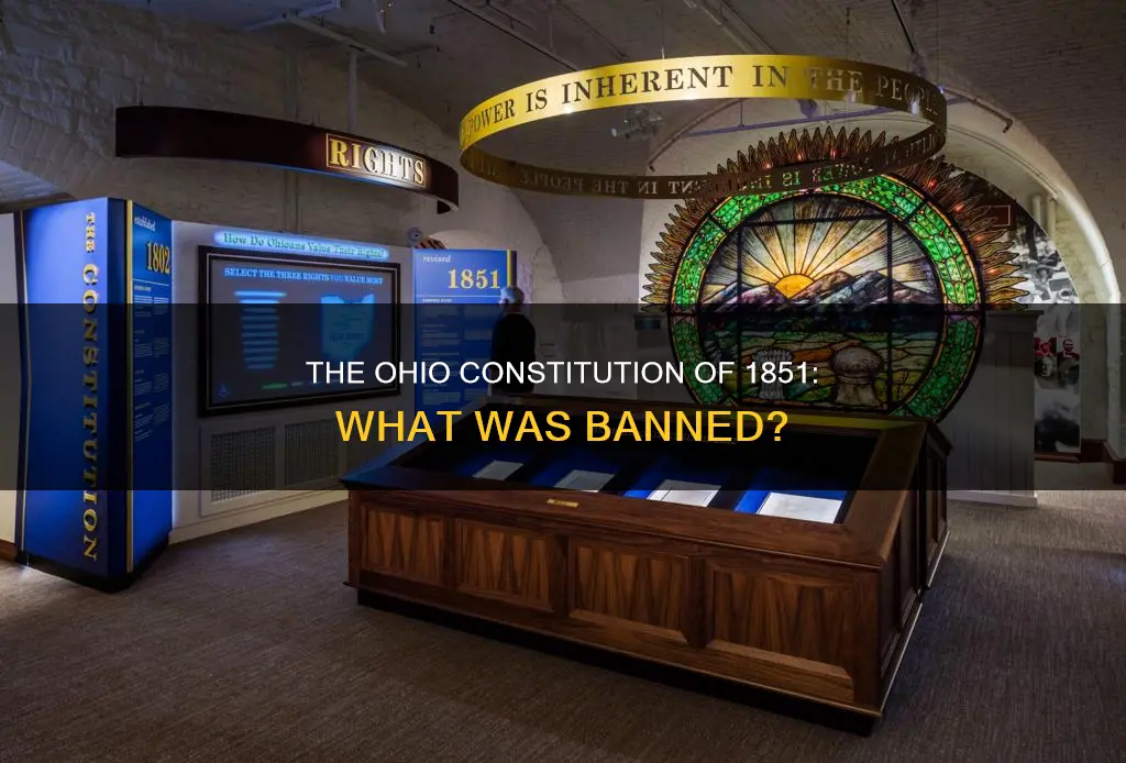 what did the ohio constitution of 1851 ban