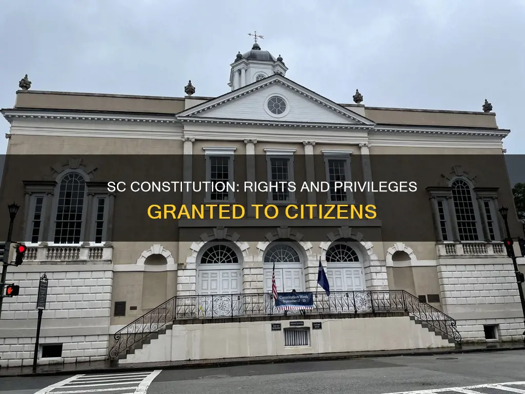 what did the original sc constitution give citizens