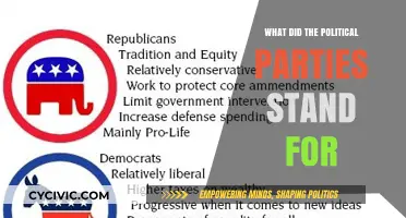 Understanding Political Parties: Core Values, Beliefs, and Policy Stances Explained