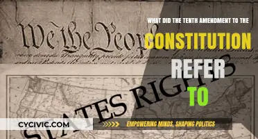 The Tenth Amendment: States' Rights and Powers