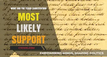 Texas Constitution: What Did It Support?